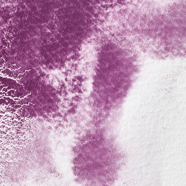 Permanent Mauve S3 Winsor &amp; Newton 1/2 Pan