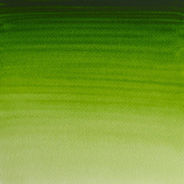 Permanent Sap Green Awc Winsor &amp; Newton