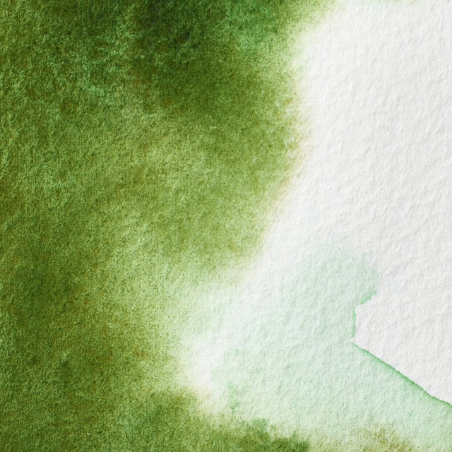 Permanent Sap Green Awc Winsor &amp; Newton