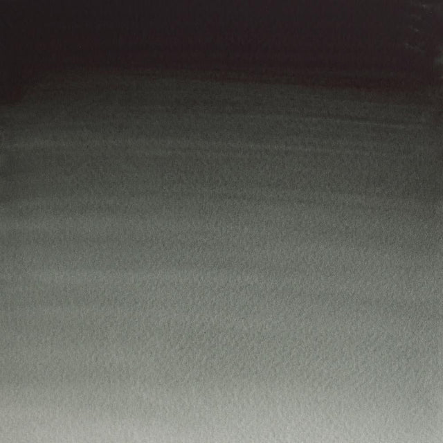 Perylene Green S2 Winsor &amp; Newton 1/2 Pan
