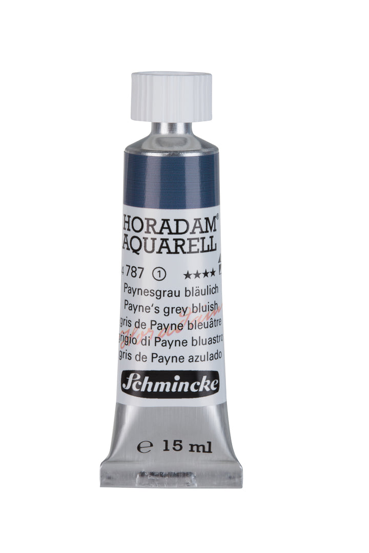 787 Paynes Grey Bluish Horadam