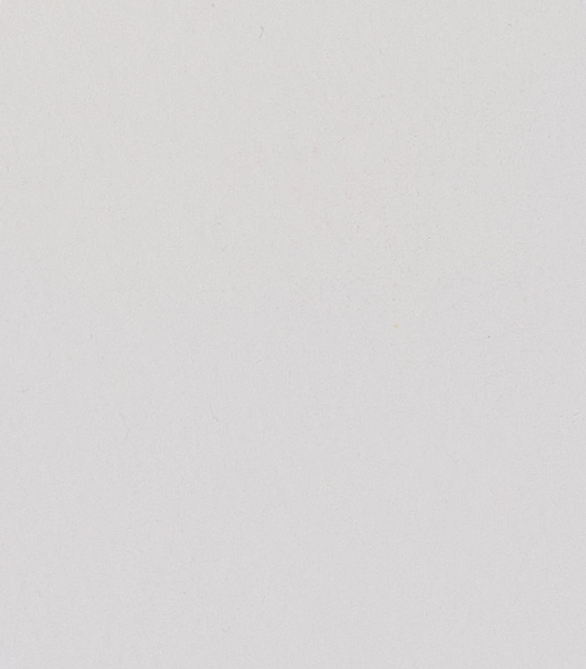 101 Titanium-Opaque White Horadam