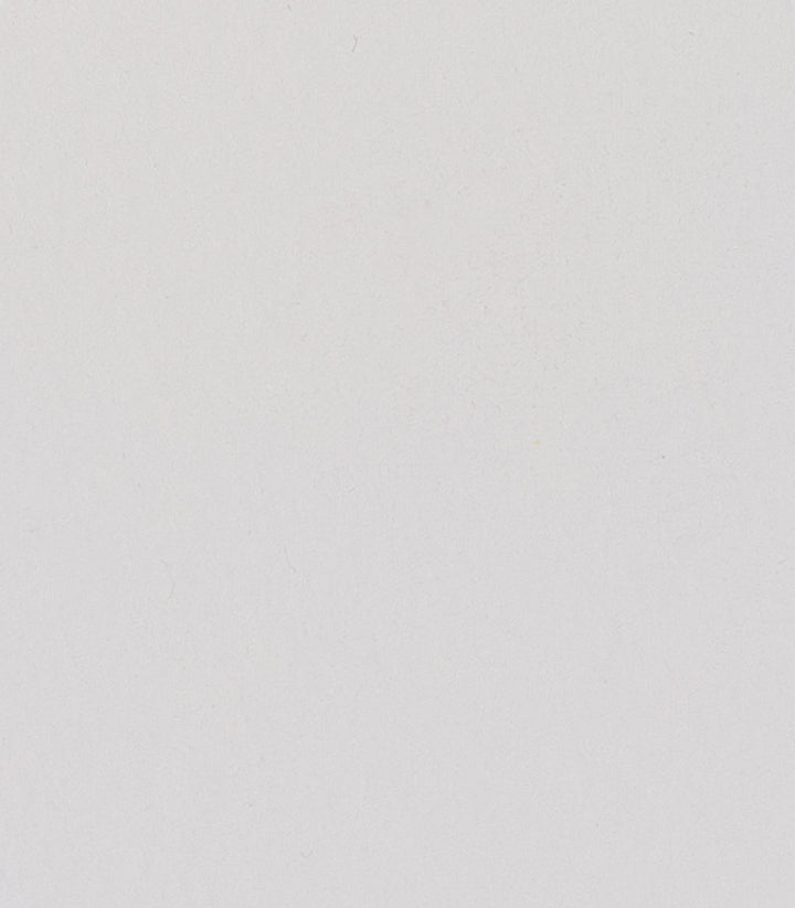 101 Titanium-Opaque White Horadam