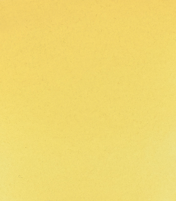 205 Rutile Yellow Horadam