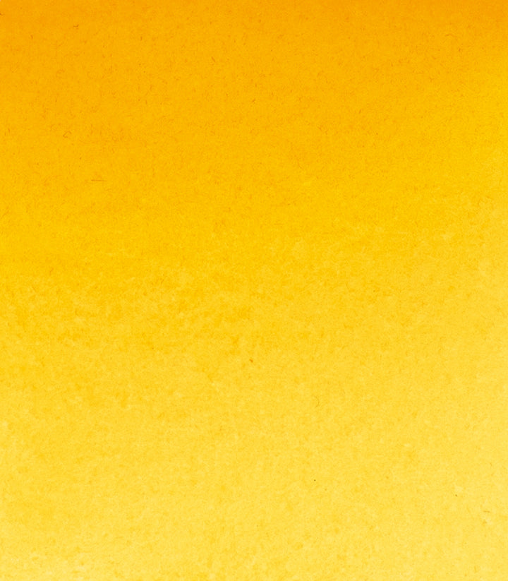 219 Turners Yellow Horadam
