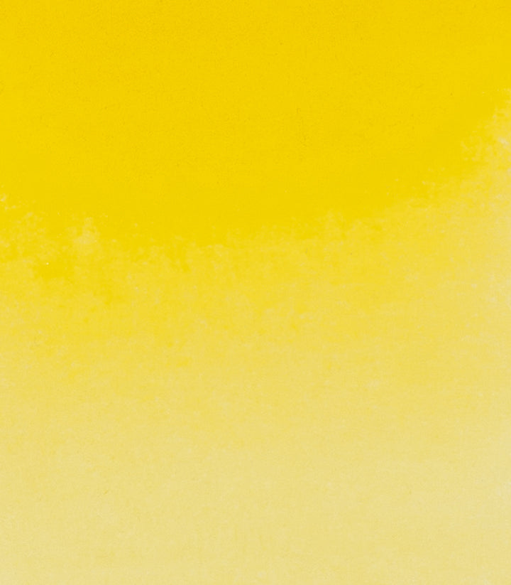 225 Cadmium Yellow Medium Horadam
