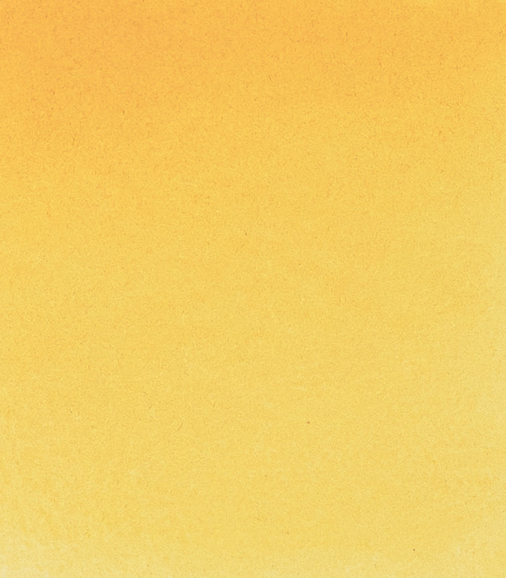 229 Naples Yellow Horadam