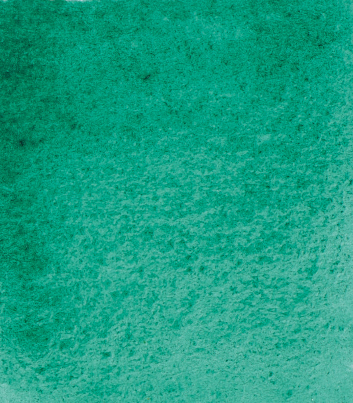 513 Viridian Horadam