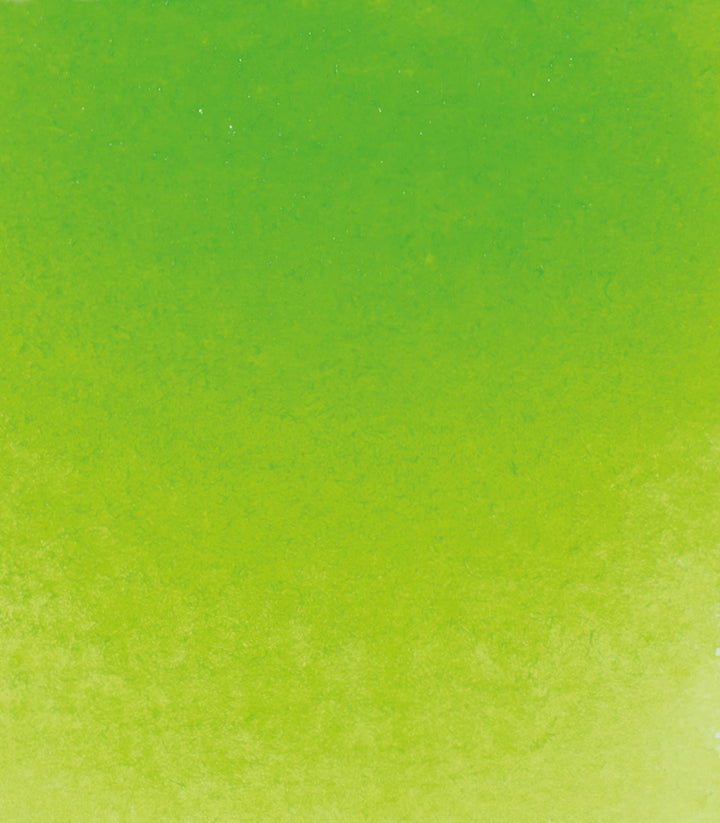 524 May Green Horadam