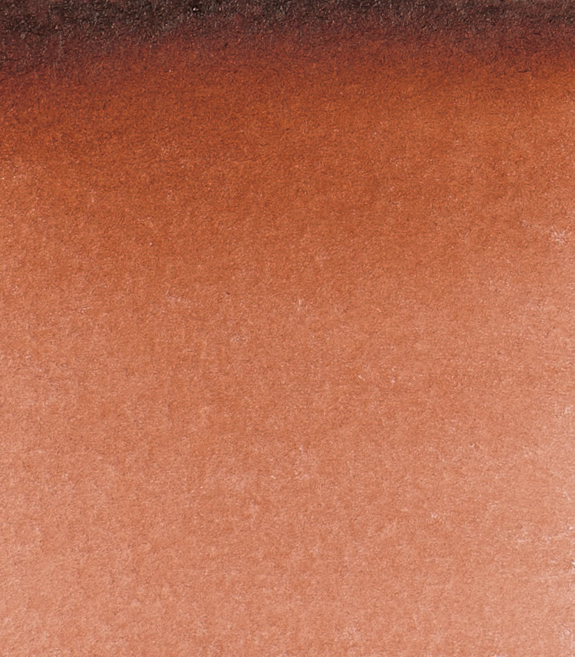 648 Transparent Brown Horadam
