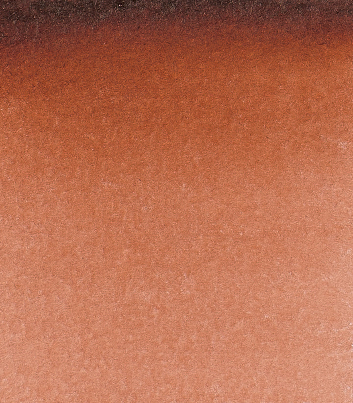 648 Transparent Brown Horadam