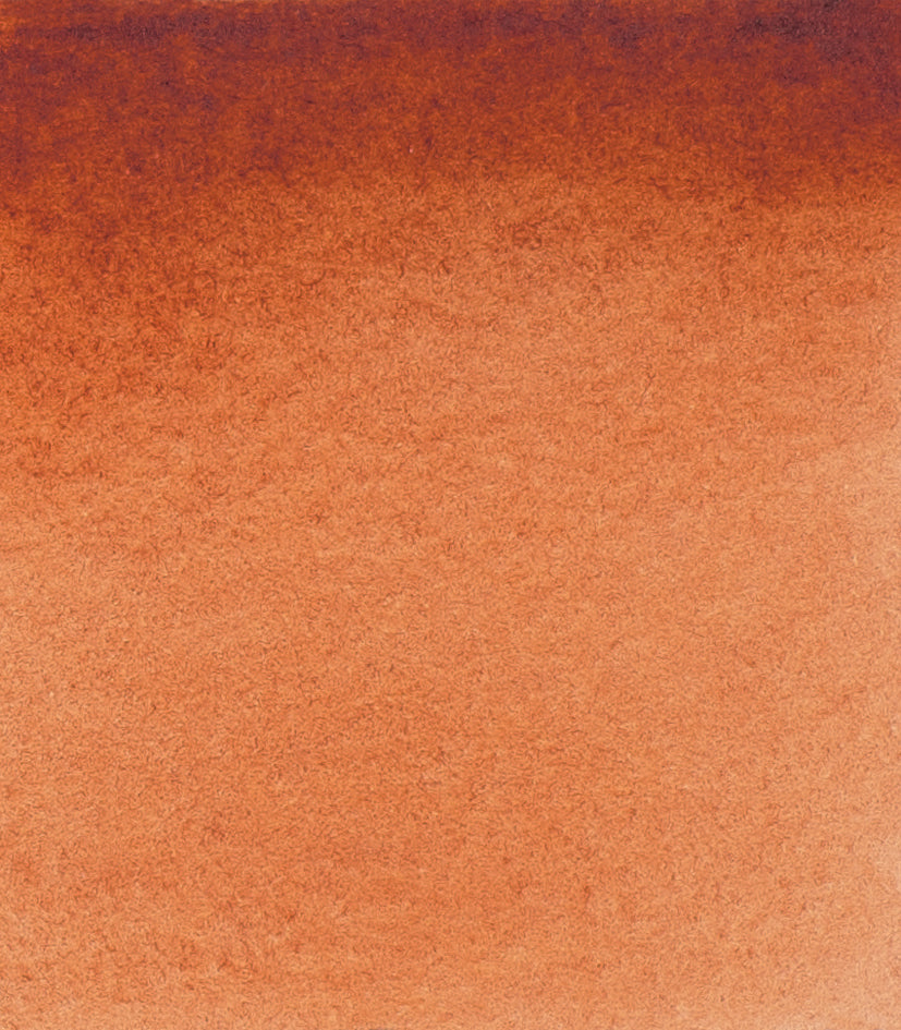 653 Transparent Sienna Horadam