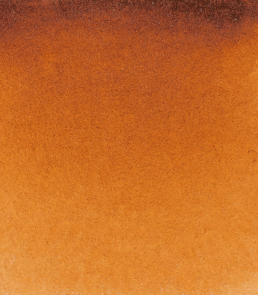 654 Gold Brown Horadam