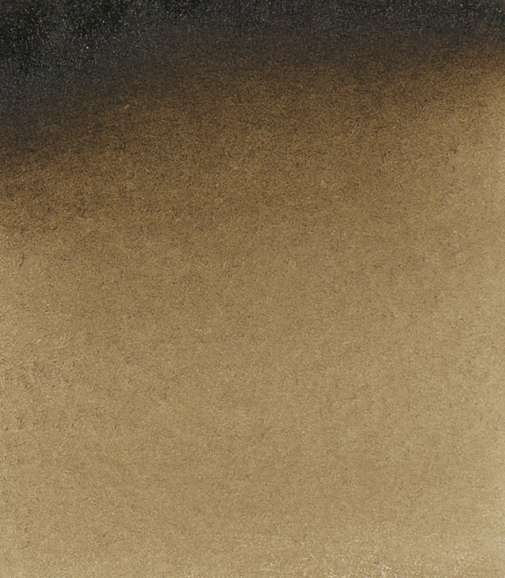 669 Vandyke Brown Horadam