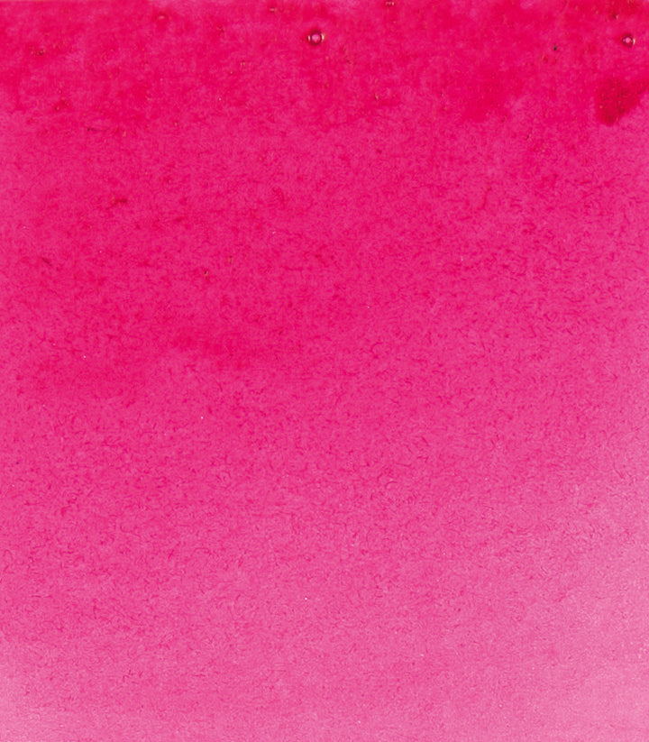920 Brilliant Opera Rose Horadam