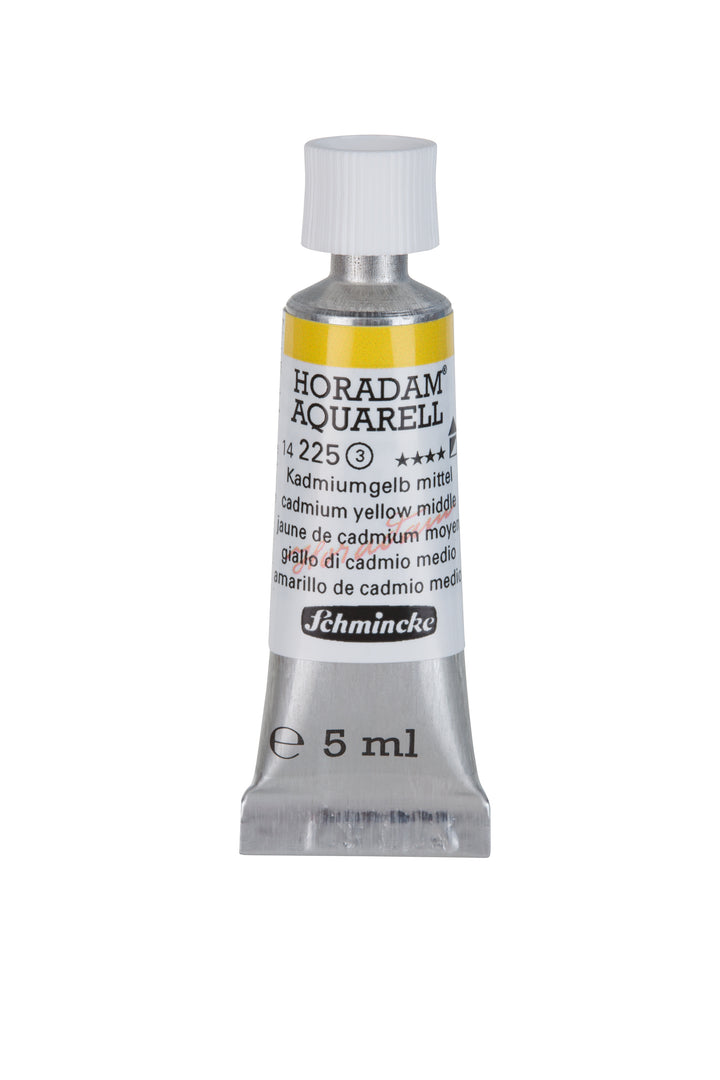 225 Cadmium Yellow Medium Horadam