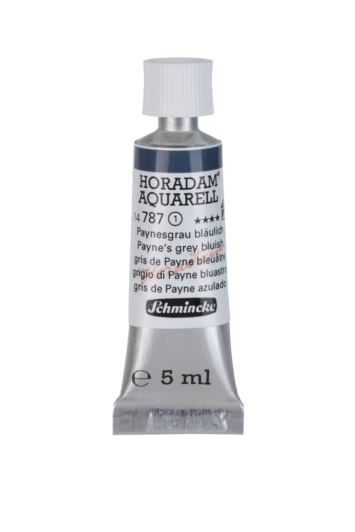 787 Paynes Grey Bluish Horadam