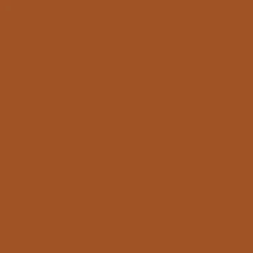 Raw Sienna Liquitex Spray Paint 400ml Can