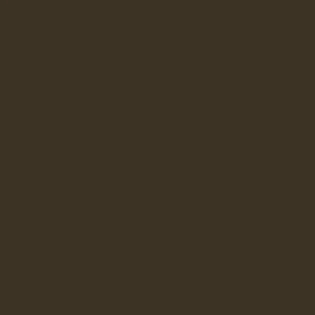 Raw Umber Liquitex Marker Wide 15mm