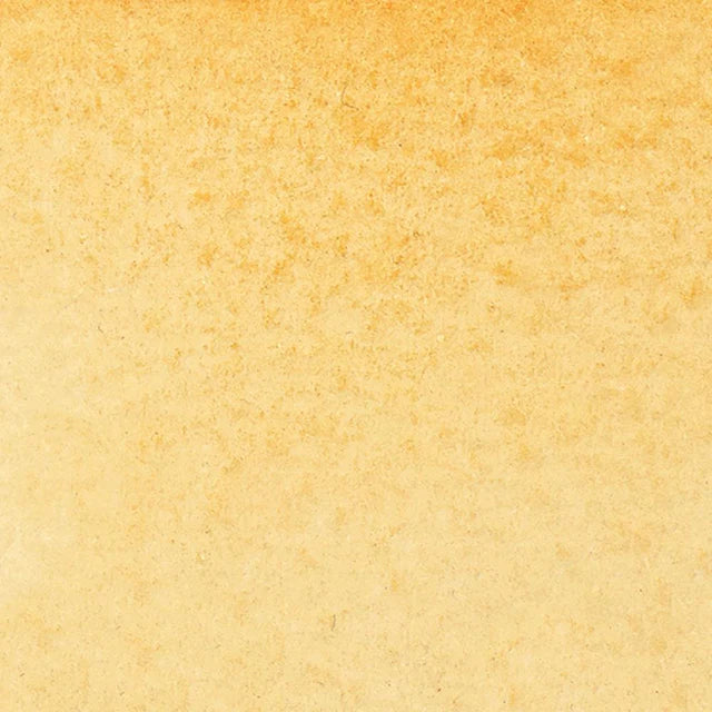 Raw Sienna Winsor Newton Watercolour Marker