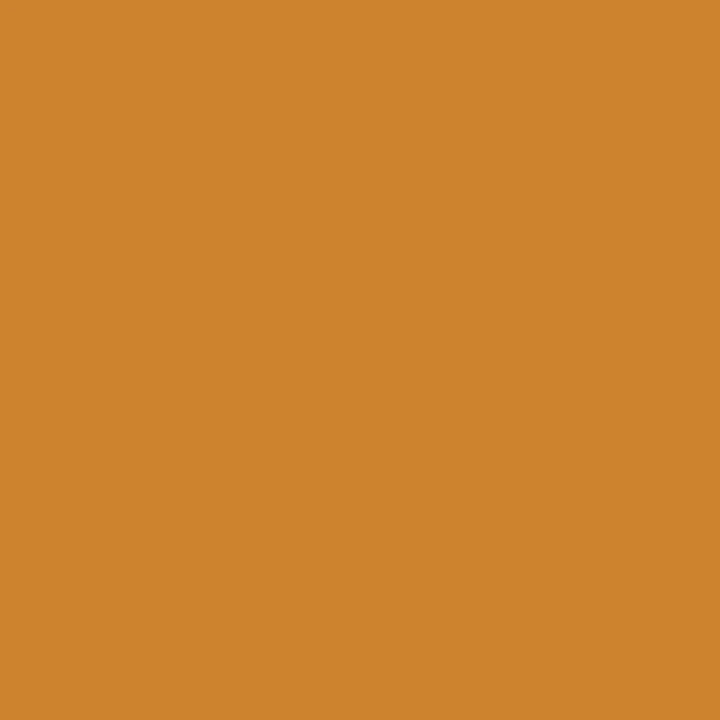 Raw Sienna (O646) Winsor Pro Marker