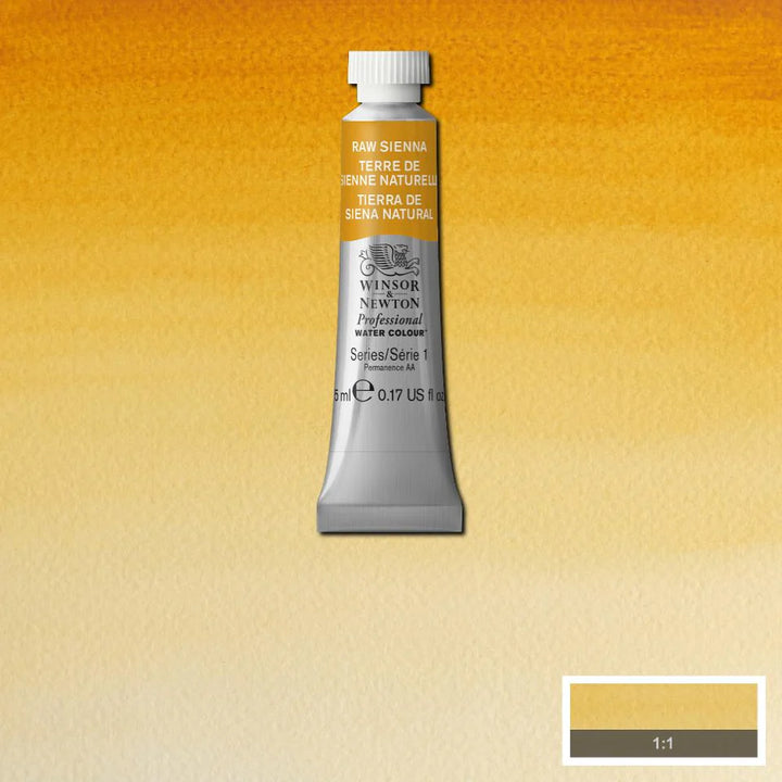 Raw Sienna Awc Winsor &amp; Newton