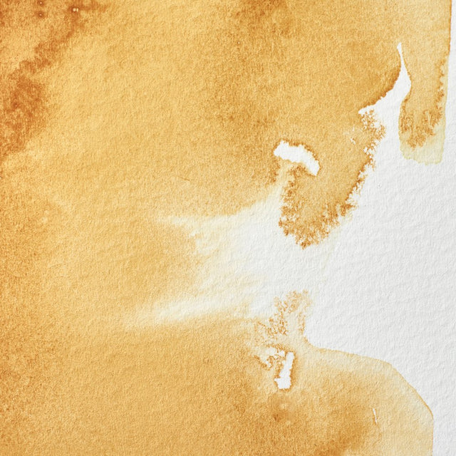 Raw Sienna Awc Winsor &amp; Newton