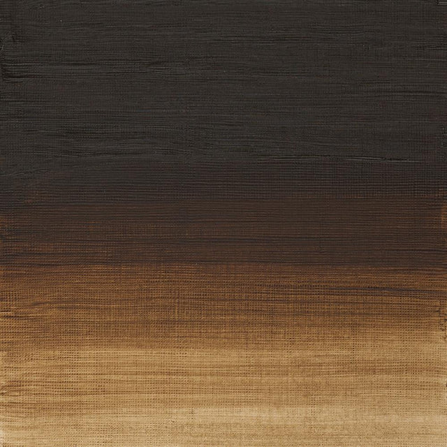 Raw Umber Winsor &amp; Newton Aoc