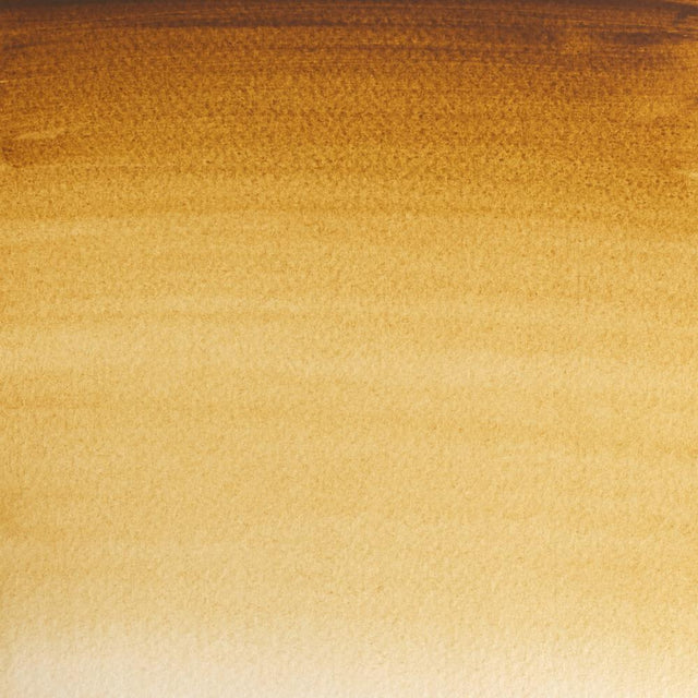 Raw Umber S1 Winsor &amp; Newton 1/2 Pan