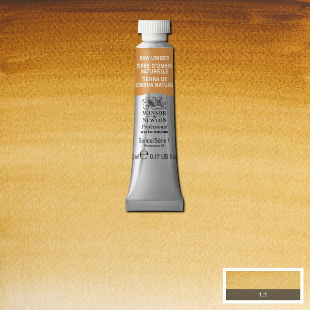 Raw Umber Awc Winsor &amp; Newton