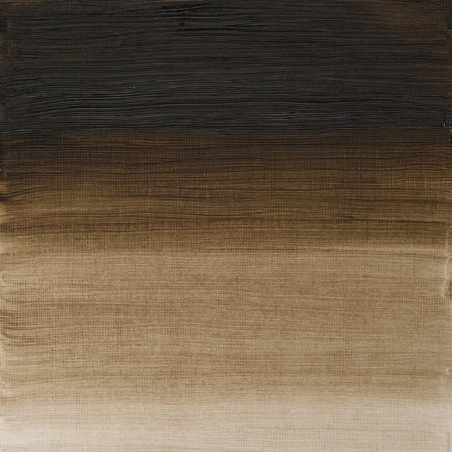 Raw Umber Green Shade Winsor &amp; Newton