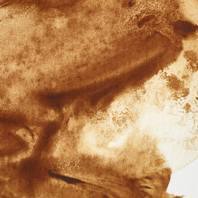Raw Umber S1 Winsor &amp; Newton 1/2 Pan