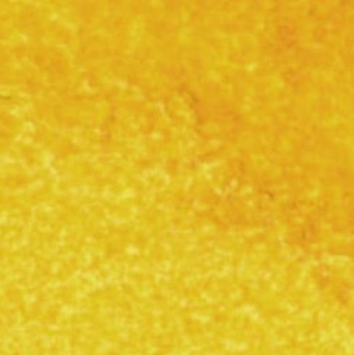 Raw Sienna Light DANIEL SMITH 1/2 Pan