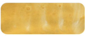 Gold Matisse Ink
