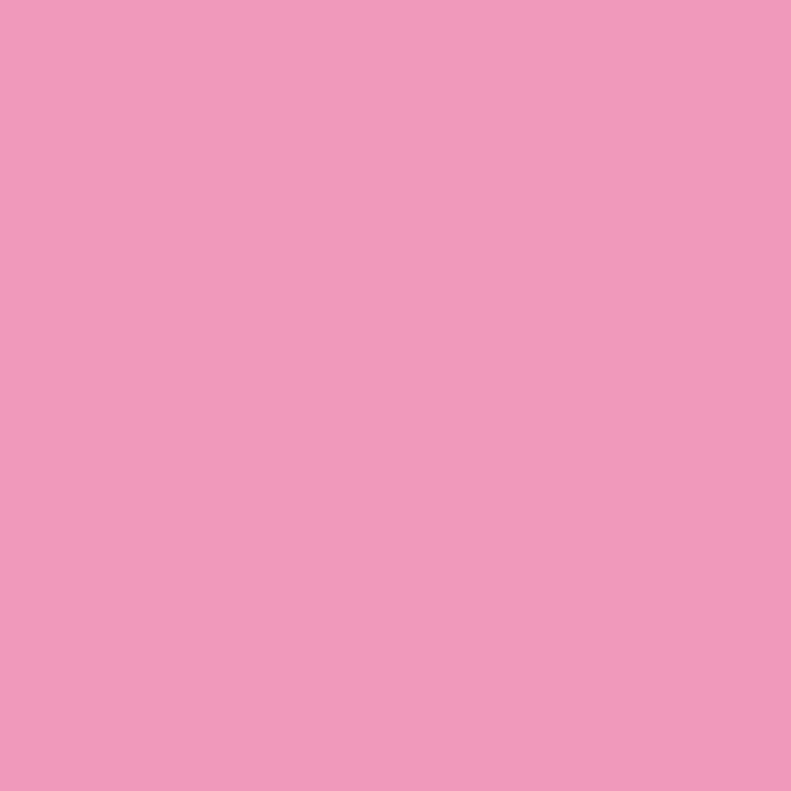 Rose Pink (M727) Winsor Pro Marker