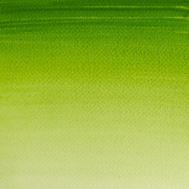 Sap Green Cotman 8ml