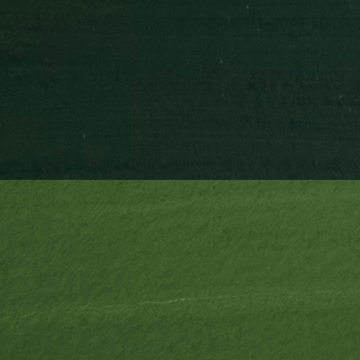 Sap Green Daniel Smith Gouache 15ml