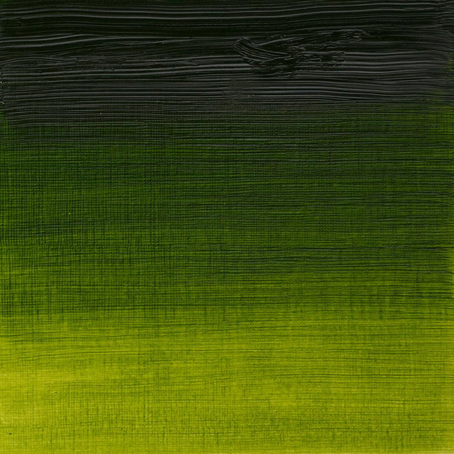 Sap Green Winsor &amp; Newton Aoc 37ml