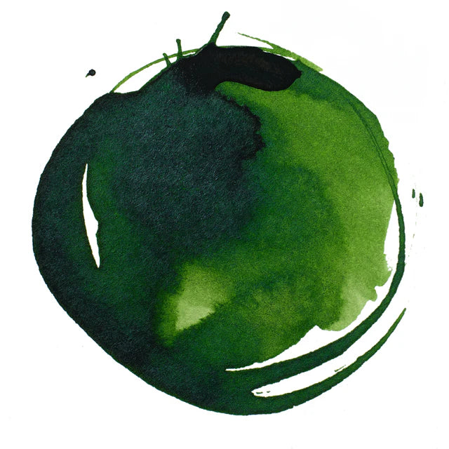 Sap Green Permanent Liquitex Acrylic Ink 30ml