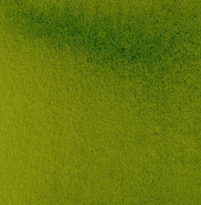 Sap Green DANIEL SMITH 1/2 Pan