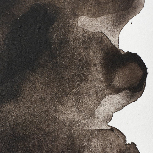 Sepia S1 Winsor &amp; Newton 1/2 Pan
