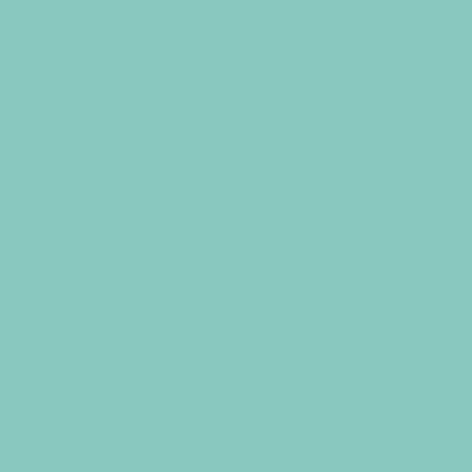 Soft Green (G817) Winsor Pro Marker