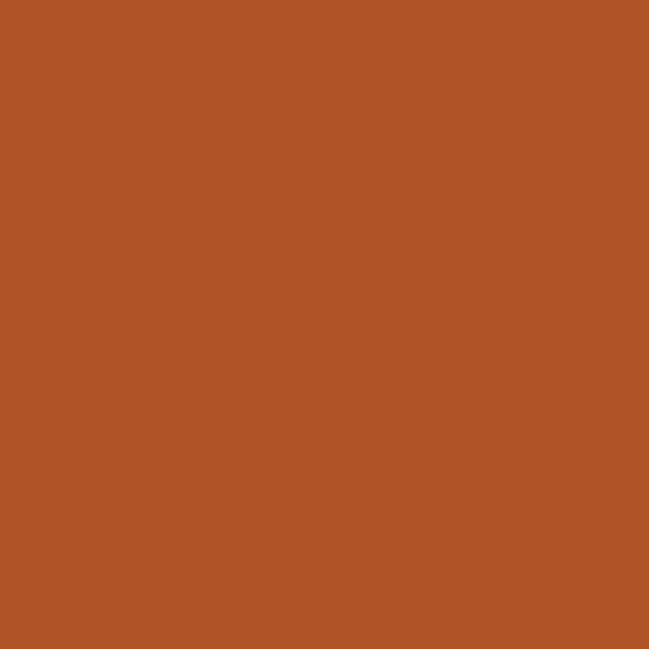Terracotta (O335) Winsor Pro Marker