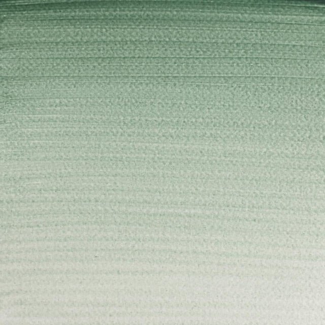 Terre Verte S1 Winsor &amp; Newton 1/2 Pan