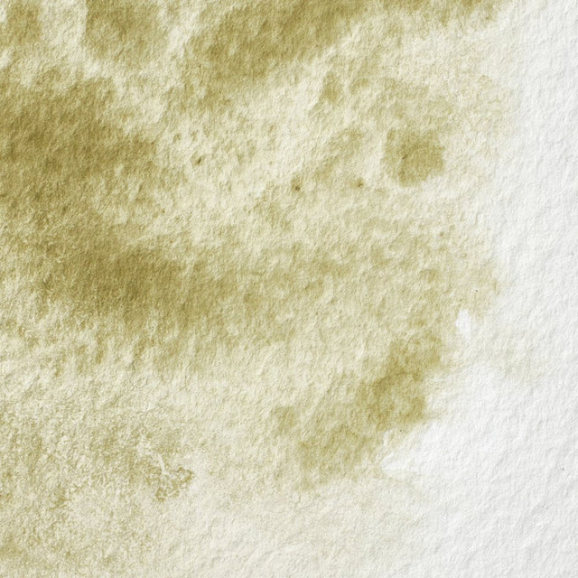 Terre Verte Y/S S1 Winsor &amp; Newton 1/2 Pan