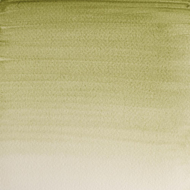 Terre Verte Y/S S1 Winsor &amp; Newton 1/2 Pan