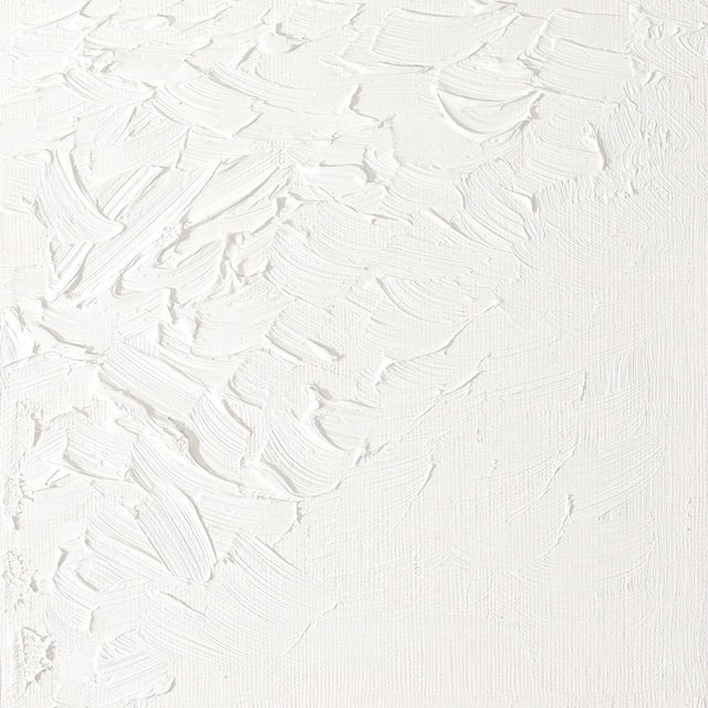 Titanium White Winsor &amp; Newton Aoc