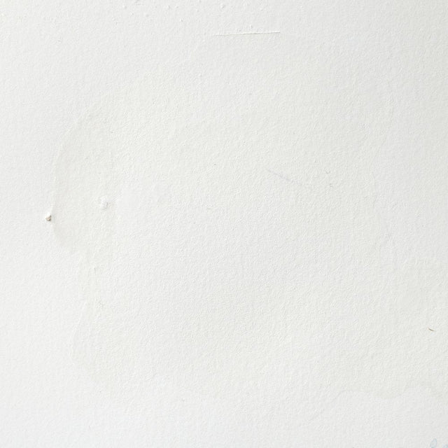 Titanium White Awc S1 Winsor &amp; Newton 1/2 Pan