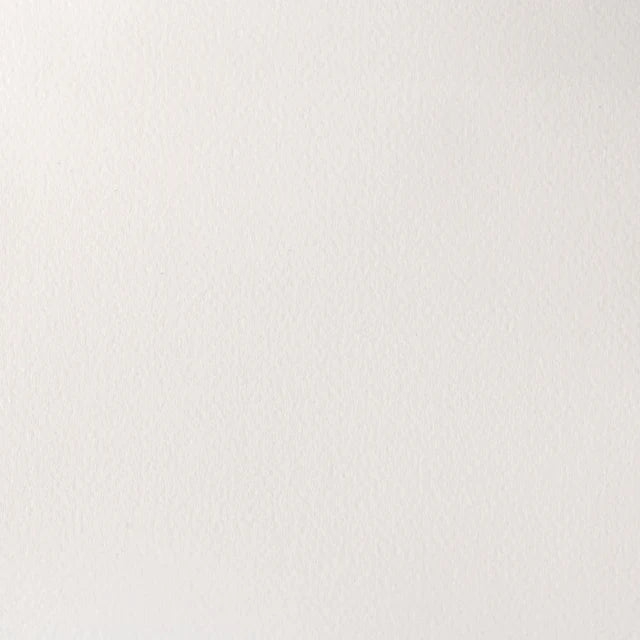 Titanium White Awc S1 Winsor &amp; Newton 1/2 Pan