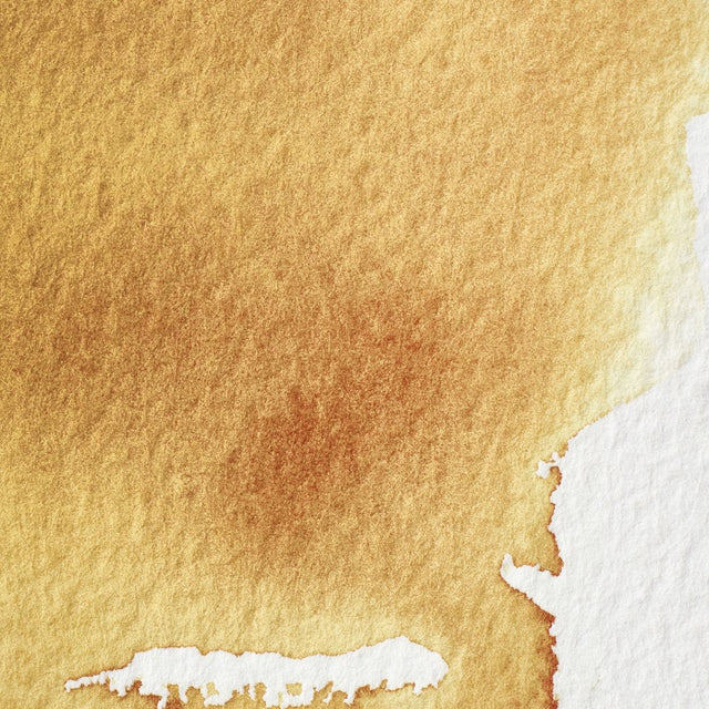 Transparent Gold Deep S3 Winsor &amp; Newton 1/2 Pan